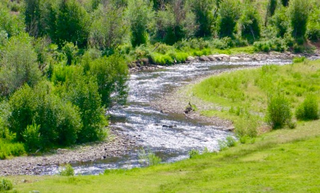Buffalo Creek Wateredge